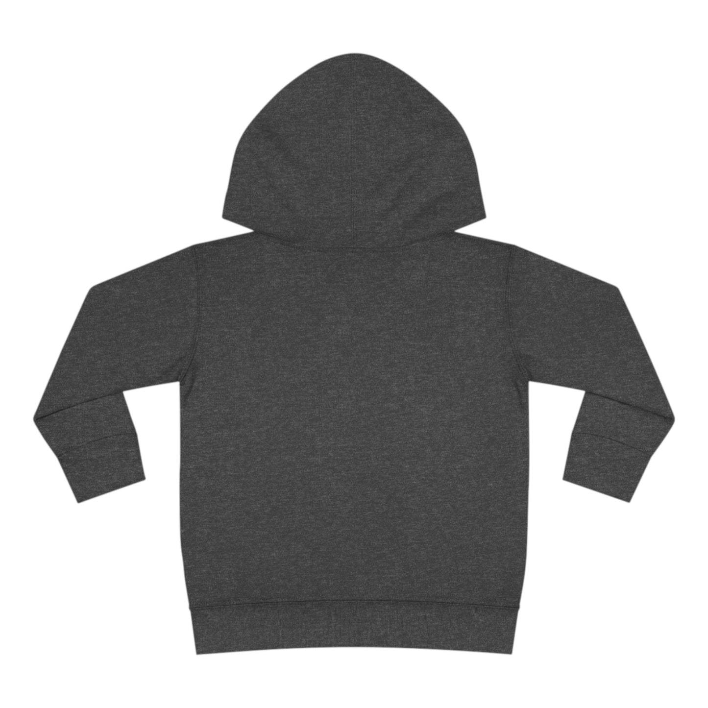 Mini Sota Toddler Hoodie